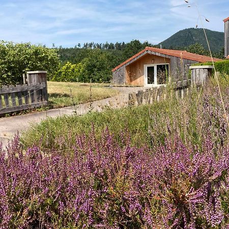 Le Chalet Dans La Nature Saulcy-sur-Meurthe Eksteriør billede