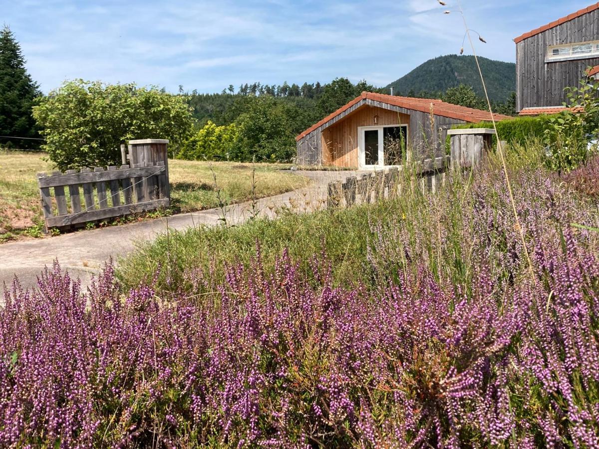 Le Chalet Dans La Nature Saulcy-sur-Meurthe Eksteriør billede