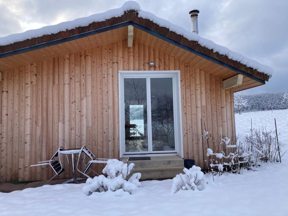 Le Chalet Dans La Nature Saulcy-sur-Meurthe Eksteriør billede